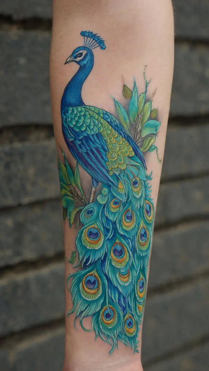 Majestic Peacock Tattoo Design with Vibrant Feathers